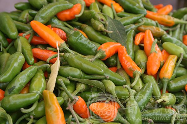 西部太陽(yáng)谷 得榮原生態(tài)美食 西部太陽(yáng)谷 得榮原生態(tài)美食