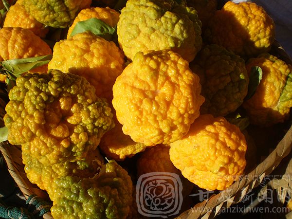 西部太陽(yáng)谷 得榮原生態(tài)美食 西部太陽(yáng)谷 得榮原生態(tài)美食