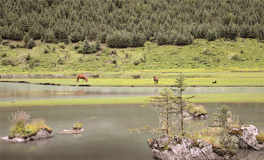 去甘孜 邂逅絕美湖泊海子！
